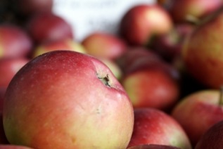 Äpfel | Essen & Trinken » Früchte & Obst | Günter Havlena / pixelio