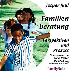 Jesper Juul: Familienberatung: Perspektiven und Prozess