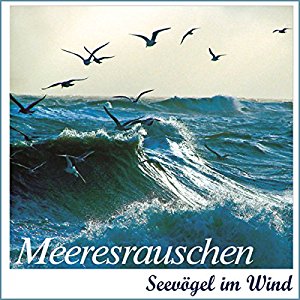 Karl Heinz Dingler Alfred Werle: Meeresrauschen: Seevögel im Wind