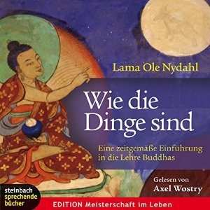 Ole Nydahl: Wie die Dinge sind: Eine zeitgemäße Einführung in die Lehre Buddhas