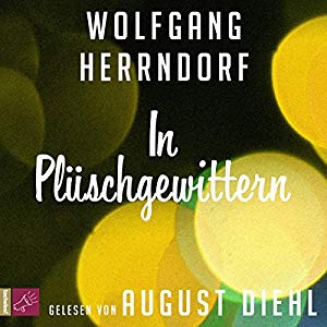 Wolfgang Herrndorf: In Plüschgewittern