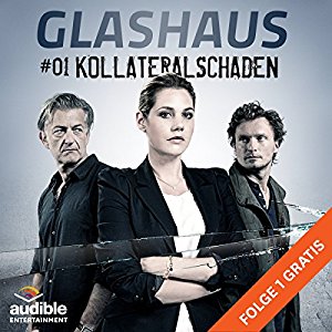 Christian Gailus: Kollateralschaden (Glashaus 1)