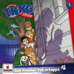 Frank Gustavus, Stefan Wolf: Auf frischer Tat ertappt: TKKG Junior 1