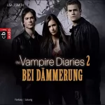 Lisa J. Smith, Ingrid Gross: Bei Dämmerung: The Vampire Diaries 2