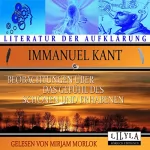 Immanuel Kant: Beobachtungen über das Gefühl des Schönen und Erhabenen: Essay in vier Abschnitten