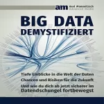 Axel Mammitzsch: Big Data demystifiziert: Tiefe Einblicke in die Welt der Daten - Chancen und Risiken für die Zukunft - Und wie Du dich ab jetzt sicherer im Datendschungel fortbewegst.