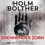 Line Holm, Stine Bolther, Franziska Hüther - Übersetzer, Günther Frauenlob - Übersetzer: Brennender Zorn: Die Maria-Just-Reihe 2