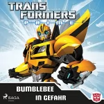 Burkard Miltenberger: Bumblebee in Gefahr: Transformers Prime