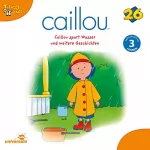 N.N.: Caillou spart Wasser: Caillou 26