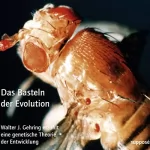 Walter J. Gehring, Klaus Sander: Das Basteln der Evolution: 