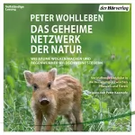 Peter Wohlleben: Das geheime Netzwerk der Natur: Wie Bäume Wolken machen und Regenwürmer Wildschweine kontrollieren