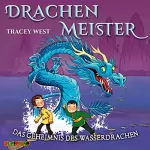 Tracey West: Das Geheimnis des Wasserdrachen: Drachenmeister 3