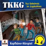 Martin Hofstetter, Stefan Wolf: Das Geheimnis im Jagdschloss [Kopfhörer-Hörspiel]: TKKG 216