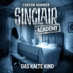 Carson Hammer: Das kalte Kind: Sinclair Academy 10