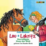 Julia Boehme: Das klügste Pony der Welt: Lou und Lakritz 3