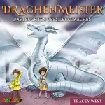 Tracey West: Das Leuchten des Silberdrachen: Drachenmeister 11