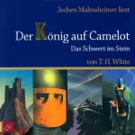 T. H. White: Das Schwert im Stein: Der König auf Camelot 1