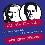 Stephan Heinrich, Bernd Geropp: Den Chef führen: Sales-up-Call
