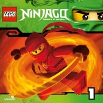N.N.: Der Aufstieg der Schlangen: LEGO Ninjago 1-3