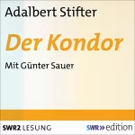 Adalbert Stifter: Der Kondor: 