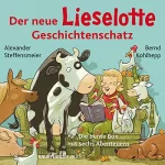 Alexander Steffensmeier: Der neue Lieselotte Geschichtenschatz: Die bunte Box mit sechs Abenteuern