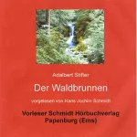 Adalbert Stifter: Der Waldbrunnen: 