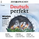 div.: Deutsch perfekt Audio 13/2020: Deutsch lernen Audio - Wirklich wahr?