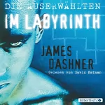 James Dashner: Die Auserwählten im Labyrinth: Maze Runner 1