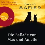 David Safier: Die Ballade von Max und Amelie: 