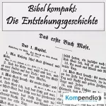 Alessandro Dallmann: Die Entstehungsgeschichte: Bibel kompakt