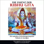Peter Bernhard: Die Essenz der Ribhu Gita: Die makellose Erleuchtungsschrift der Vedanta in Auszügen