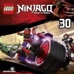 N.N.: Die Oni und die Drachen: LEGO Ninjago 77-79
