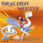 Tracey West: Die Rettung des Sonnendrachen: Drachenmeister 2