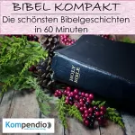 Alessandro Dallmann: Die schönsten Bibelgeschichten in 60 Minuten: Bibel kompakt