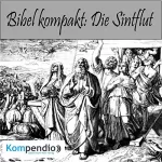 Alessandro Dallmann: Die Sintflut: Bibel kompakt