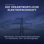 Matthias Surovcik: Die verantwortliche Elektrofachkraft: VEFK-Struktur und betriebliche Elektrosicherheit für Unternehmer, Fach- und Führungskräfte