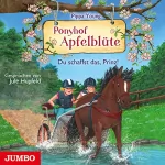 Pippa Young: Du schaffst das, Prinz!: Ponyhof Apfelblüte 19