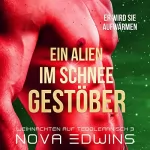 Nova Edwins: Ein Alien im Schneegestöber: Weihnachten auf Tedoleranisch 3