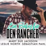 Mary Sue Jackson, Leslie North: Ein Baby für den Rancher: 