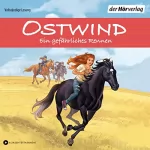 Rosa Schwarz, Bettina Kenney: Ein gefährliches Rennen: Die Ostwind-Abenteuer-Reihe 5