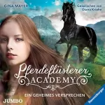 Gina Mayer: Ein geheimes Versprechen: Die Pferdeflüsterer-Academy 2