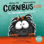Jochen Till: Ein Hausdämon packt aus! Lustiges Hörspiel für Kinder ab 10 Jahren: Cornibus & Co. 1