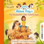 Anne Wolff: Ein Heuhaufen voller Geheimnisse: Die Schule der kleinen Ponys 1