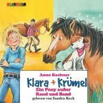Anne Bachner: Ein Pony außer Rand und Band: Klara + Krümel
