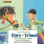 Anne Bachner: Ein Pony und zwei kleine Wunder: Klara + Krümel