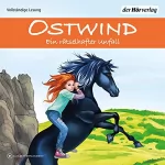 Rosa Schwarz, Lea Schmidbauer, Bettina Kenney: Ein rätselhafter Unfall: Die Ostwind-Abenteuer-Reihe 1