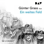 Günter Grass: Ein weites Feld: 