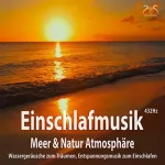 Torsten Abrolat: Einschlafmusik (432Hz) - Meer Natur Atmosphäre: Wassergeräusche zum Träumen, Entspannungsmusik zum Einschlafen, Meeresrauschen, Seevögel