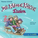 Thomas Schmid: Eisalarm!: Die Wilden Küken 2