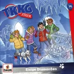 Martin Hofstetter, Stefan Wolf: Eisige Diamanten: TKKG Junior 14